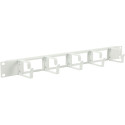 Lanview 1U 19 CABLE ORGANIZER PANEL Référence: W128317092