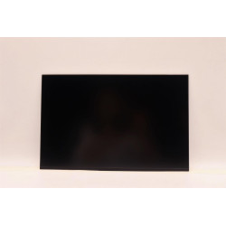 Lenovo DISPLAY AUO 14.0 WUXGA AG Reference: W126940555
