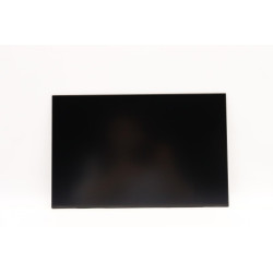 Lenovo DISPLAY INX 14.0 WUXGA AG Reference: W126940559