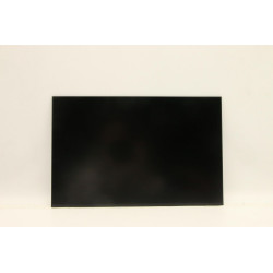 Lenovo DISPLAY FRU INX N160JCA-EEL Reference: W126940566