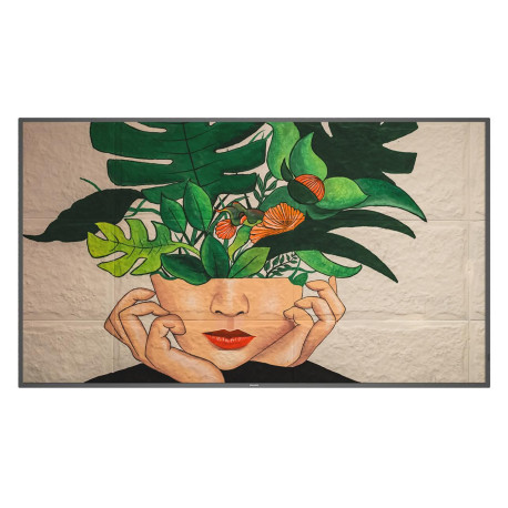 Philips 32 D-Line, FHD, 24/7 Référence: W126836419