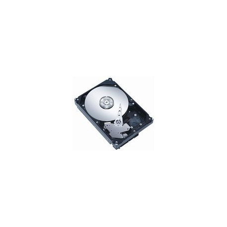 MicroStorage 250GB 3,5 SATA II 7200RPM Reference: AHDD012