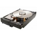 Seagate 500GB 3.5 16Mb 7.2KRPM 6GB/s Référence: ST3500414SS